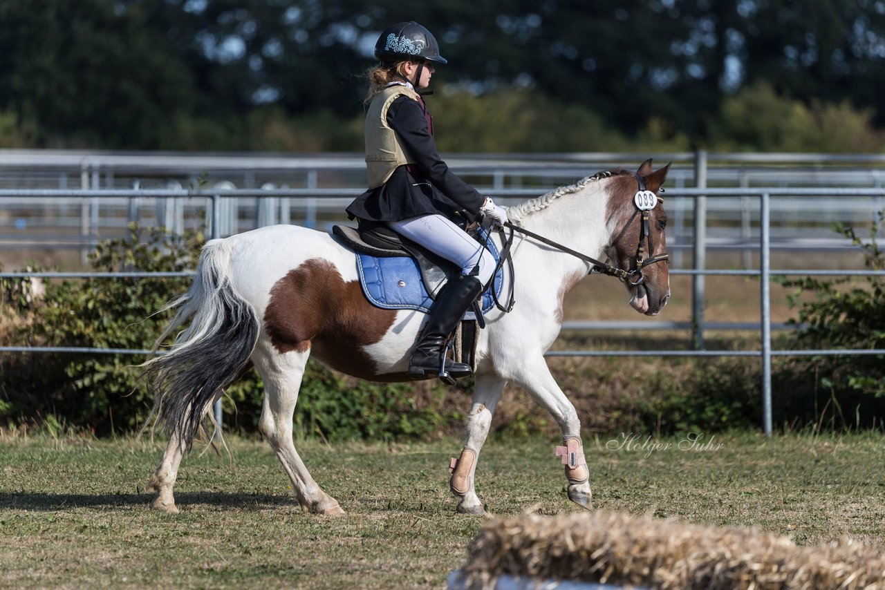 Bild 162 - Pony Akademie Turnier